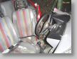 DSC01562.JPG